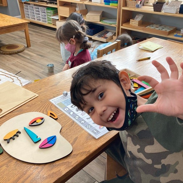 Wooden Montessori Puzzles