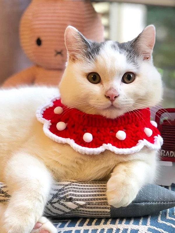 Cat Christmas Decor Xmas Knitted Pet Collar