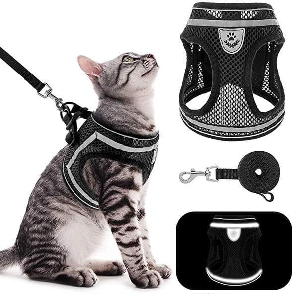 Kitten Harness And Leash Set&