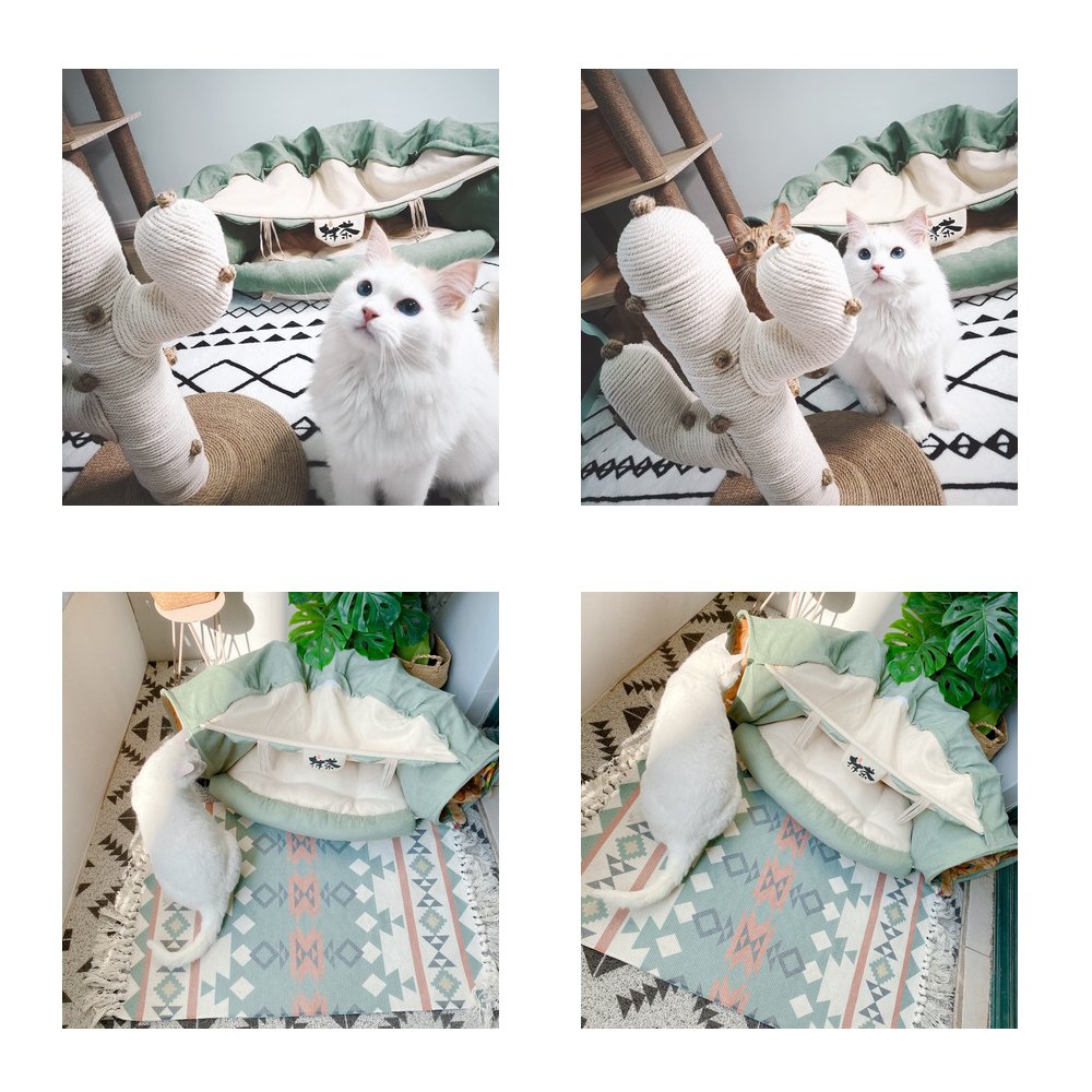 Funny Cat Bed Pet Tent 2 Holes Tunnel