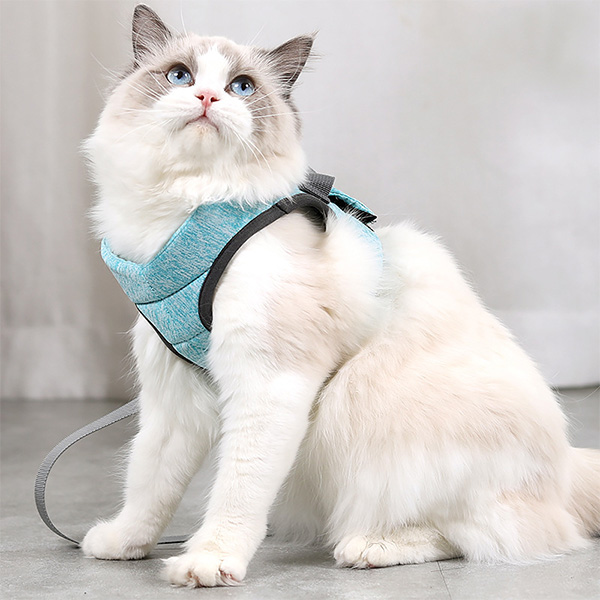 Cat Sling Cat Leash