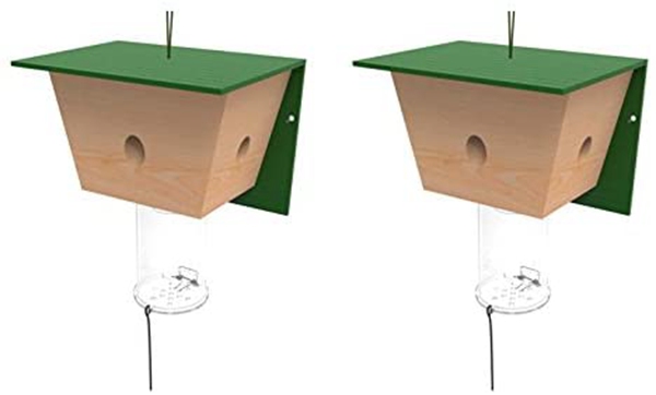 Best Carpenter Bee Traps