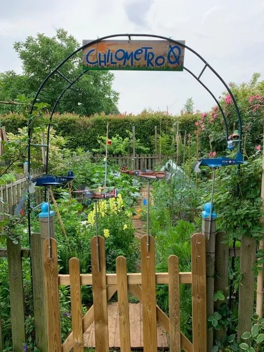 P40 Warhawk Airplane Windmill