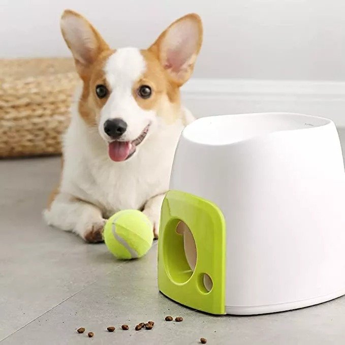 Interactive Automatic Dog Ball Launcher
