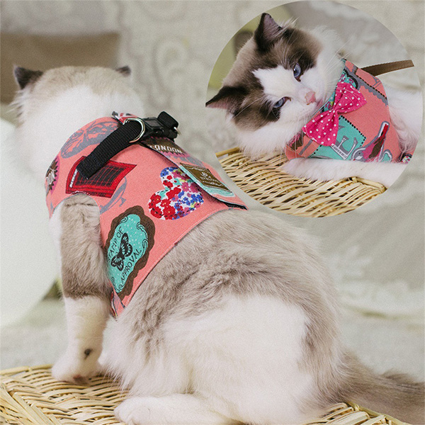 Cat Holding Cat Chest Harness Vest