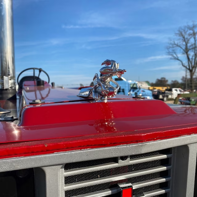 🔥NEW FOR 2023 - WILE E COYOTE HOOD ORNAMENT