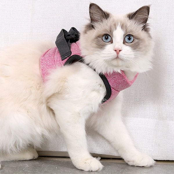 Cat Sling Cat Leash