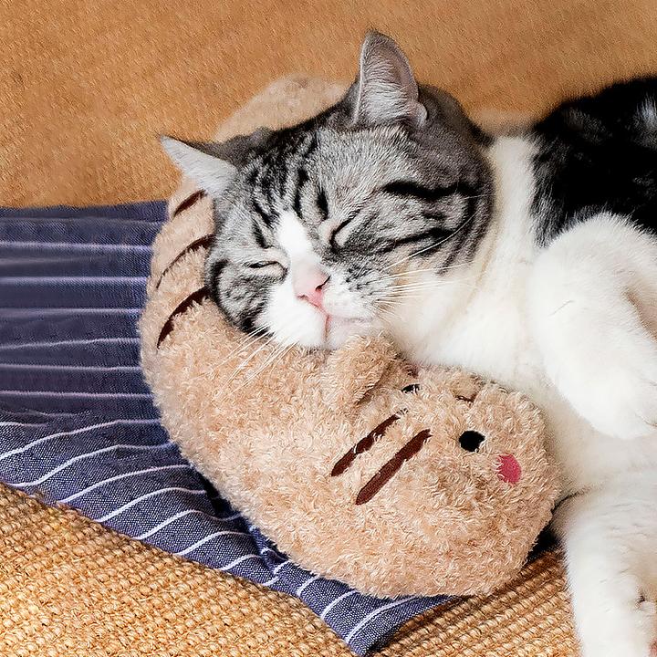 Cat Lovely Cozy Pillow |Better Sleep for Cats