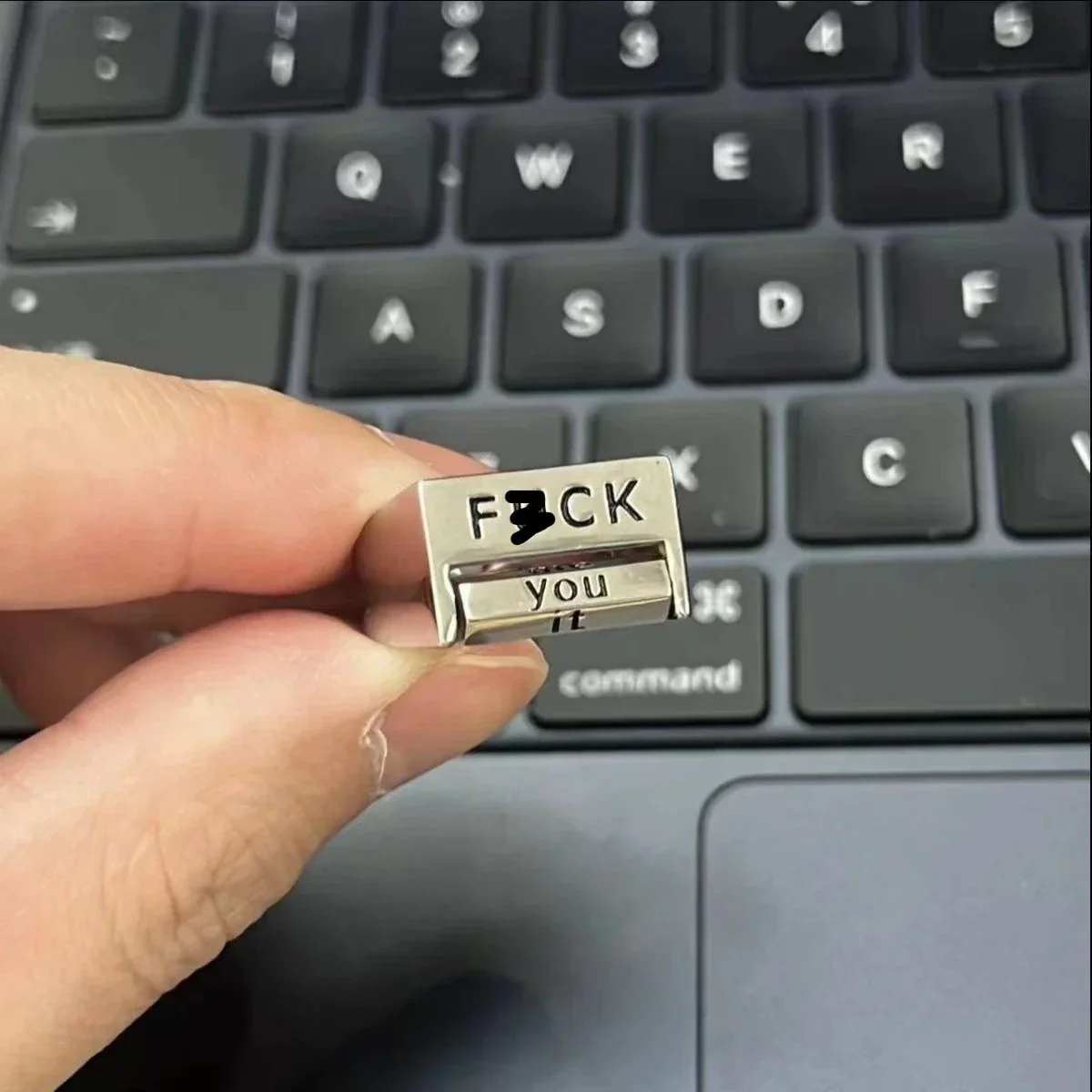 2026 F*ck You Everything Rotating Mood Control Ring