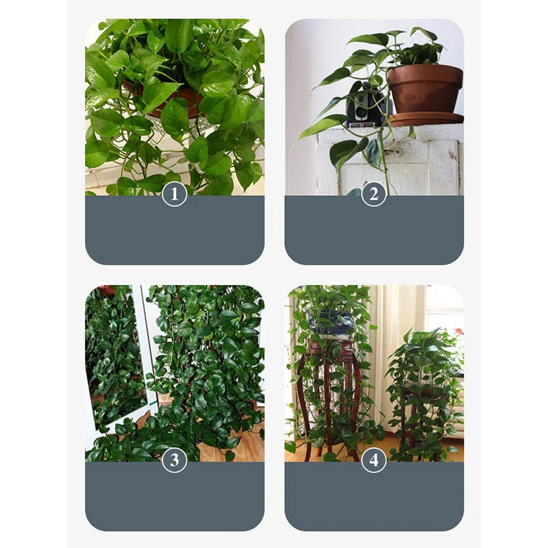 2026 10pcs Leaf Shape Self-Adhesive Hook