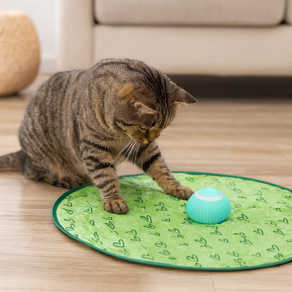 Cat Toy Interactive Play Mat Chase Ball Set