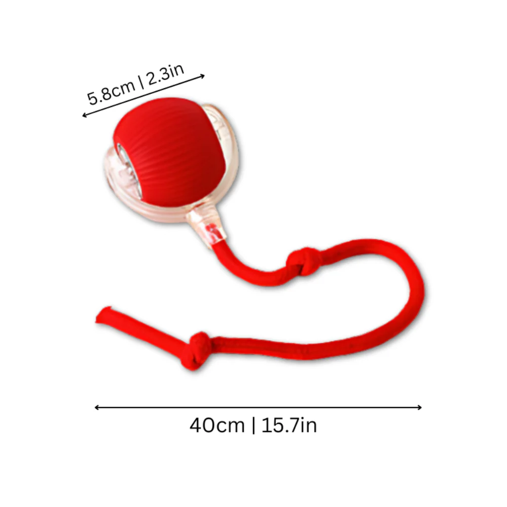 Cat Toy Interactive Chase Ball Motion Design