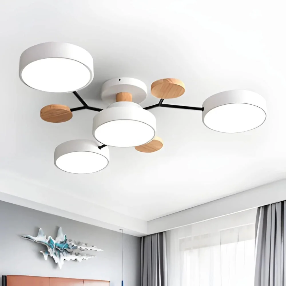 Ceiling Light Modern LED Flush Mount Chandelier Fixture
