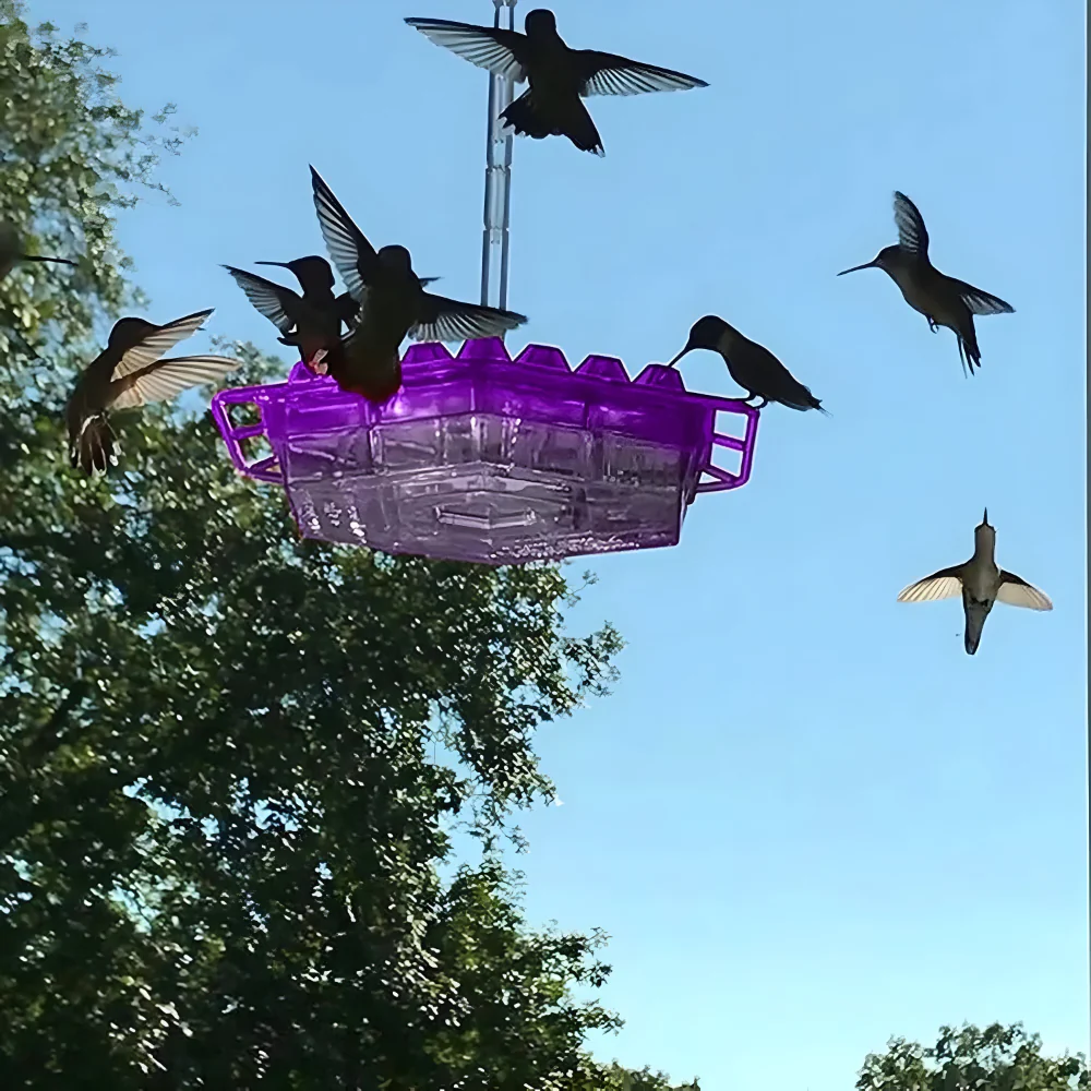 Hummingbird Feeder Nectar Hanging Garden Feeding Station