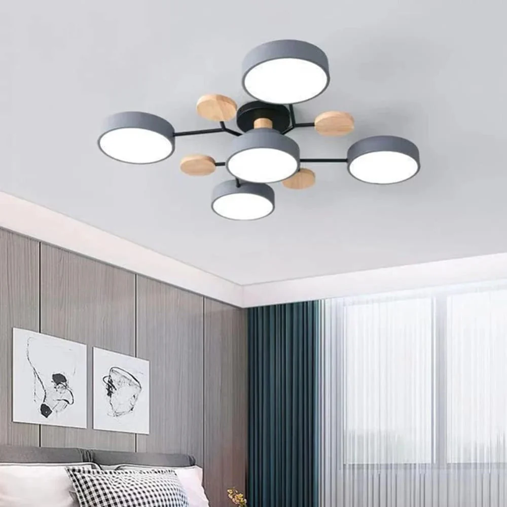 Ceiling Light Modern LED Flush Mount Chandelier Fixture