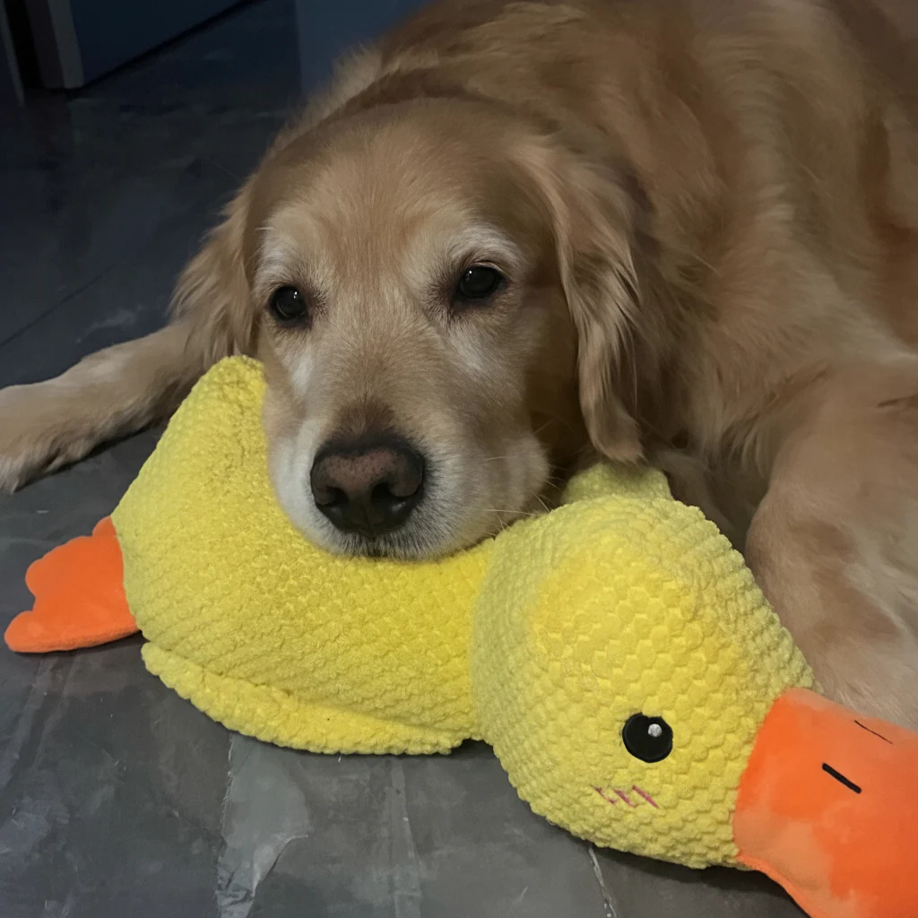 Calming Dog Toy Quacking Sound Chewing Play