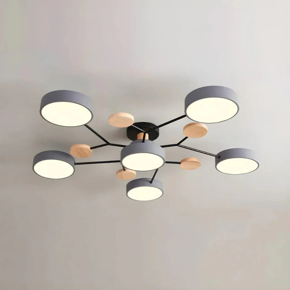 Ceiling Light Modern LED Flush Mount Chandelier Fixture