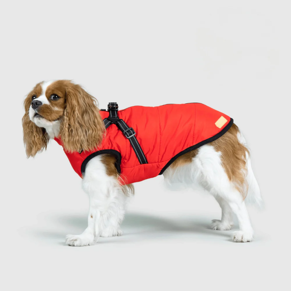 Dog Jacket Winter Outdoor Pet Coat