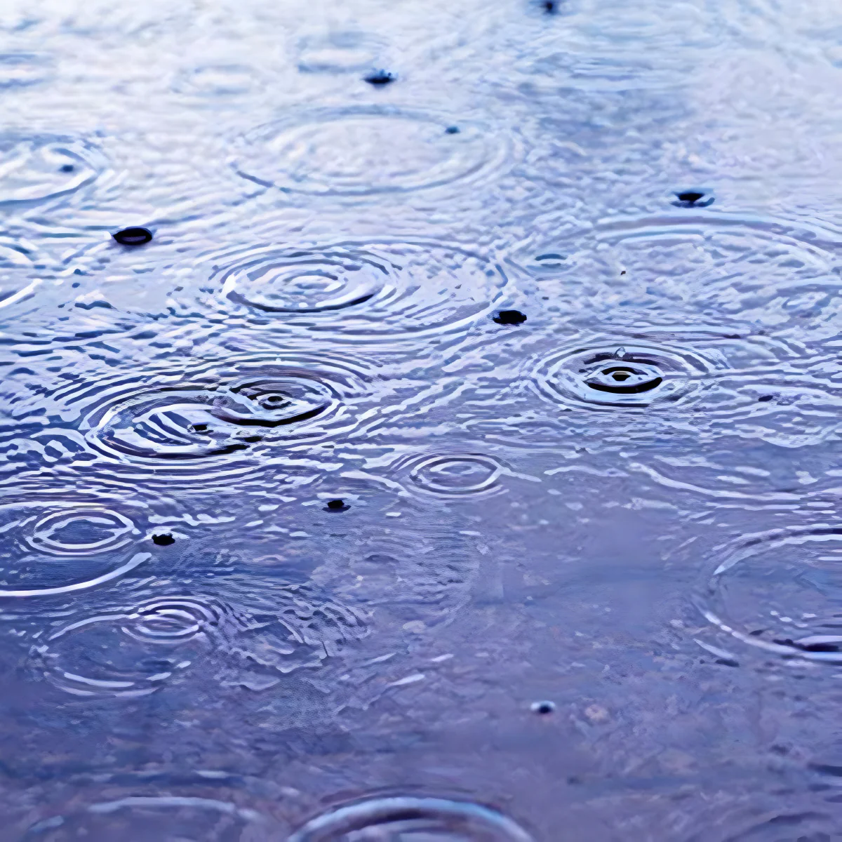 Sound Machine White Noise Dual Alarm Sleep Therapy Clock