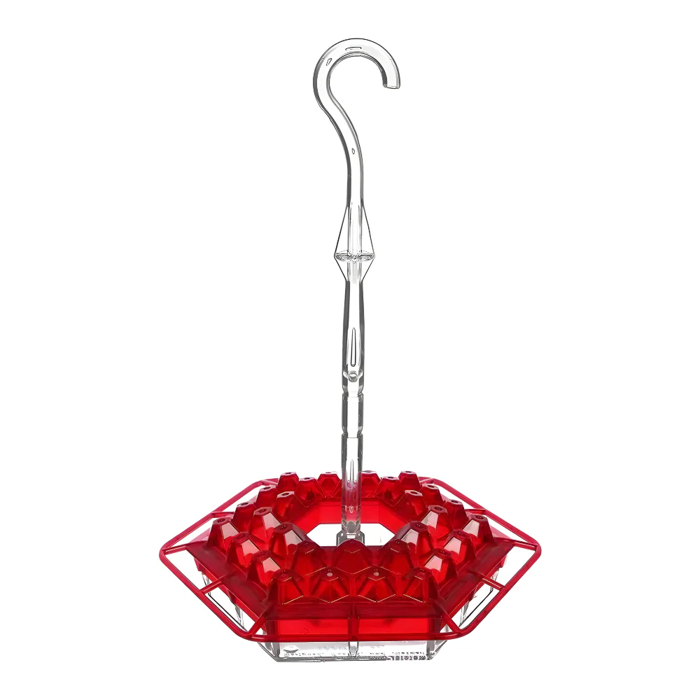Hummingbird Feeder Nectar Hanging Garden Feeding Station