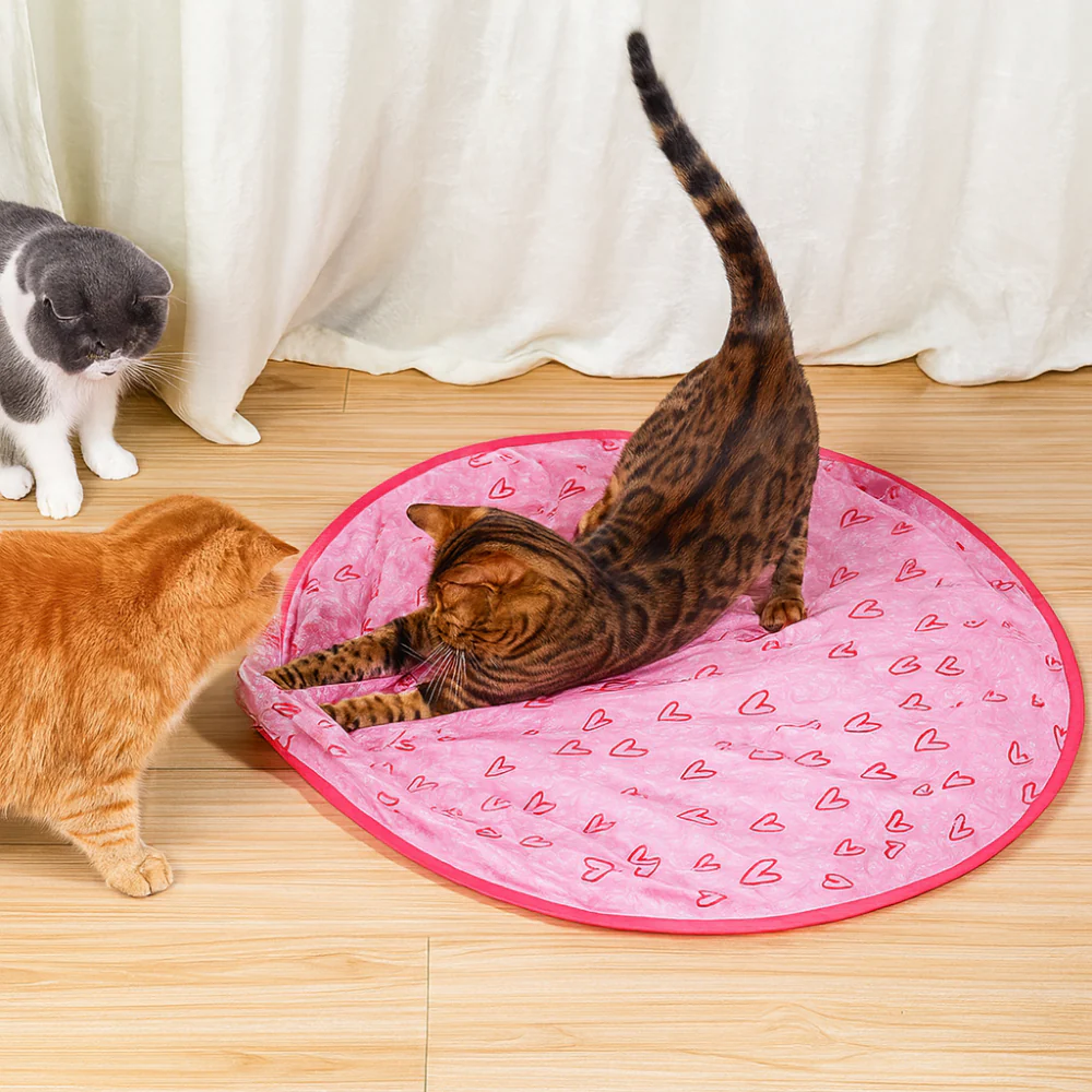 Cat Toy Interactive Play Mat Chase Ball Set