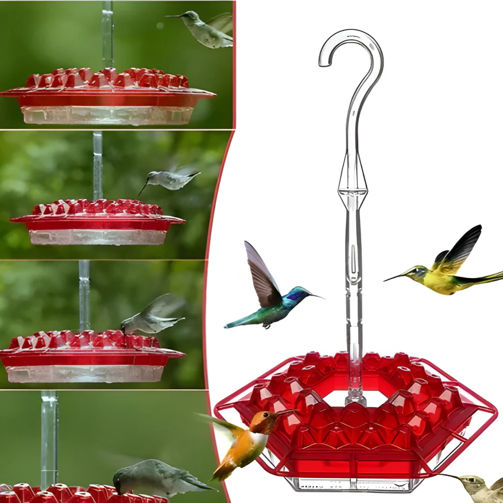 Hummingbird Feeder Nectar Hanging Garden Feeding Station