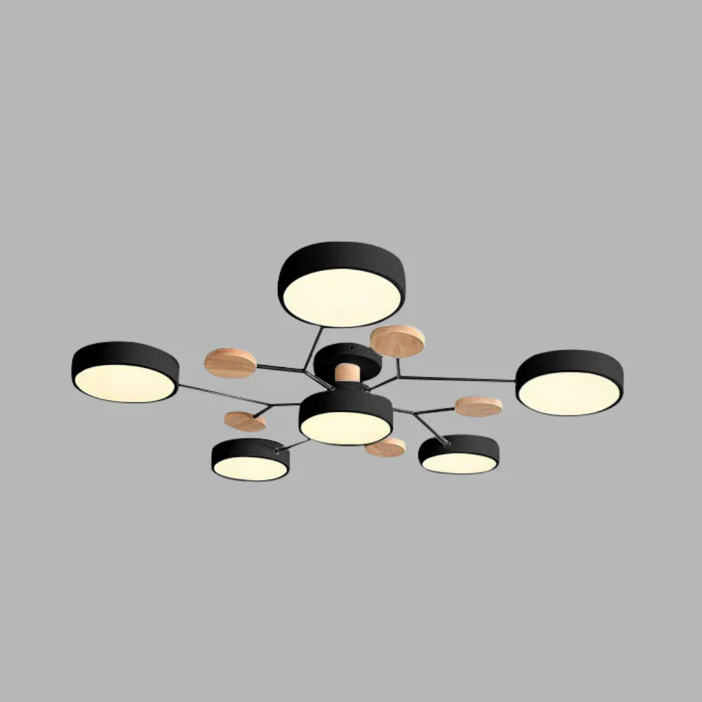 Ceiling Light Modern LED Flush Mount Chandelier Fixture
