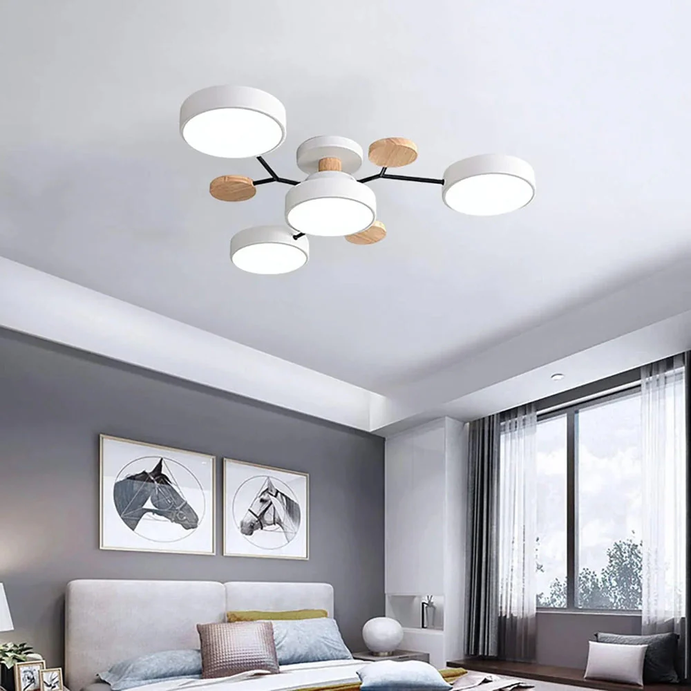 Ceiling Light Modern LED Flush Mount Chandelier Fixture