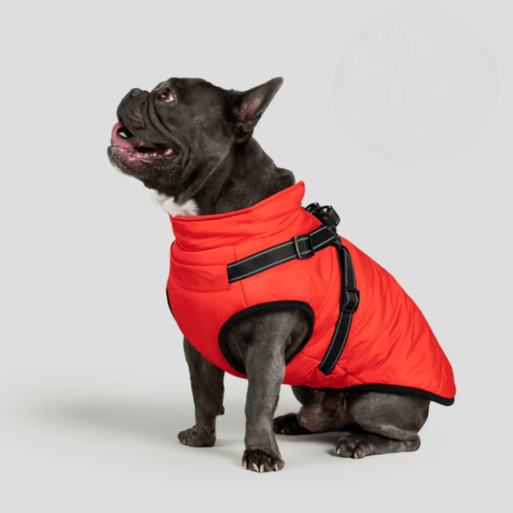 Dog Jacket Winter Outdoor Pet Coat
