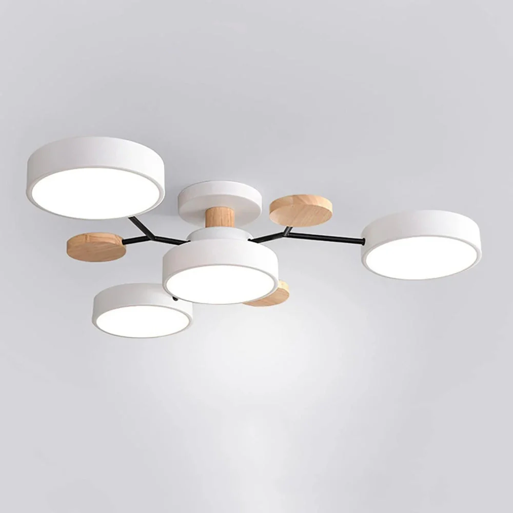 Ceiling Light Modern LED Flush Mount Chandelier Fixture