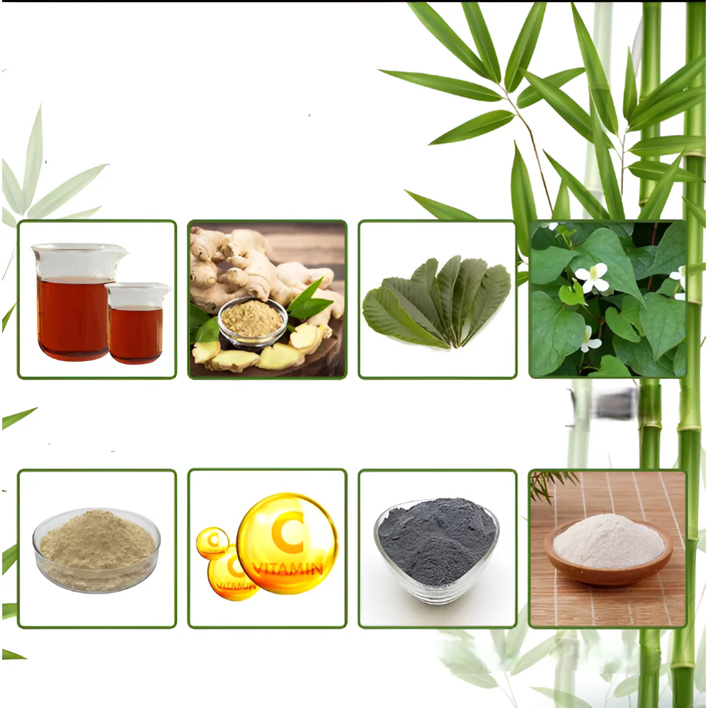 Foot Pads Bamboo Patch Set Adhesive Sole Care Sheets